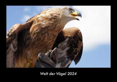 Tobias Becker: Welt der Vögel 2024 Fotokalender DIN A3, Kalender