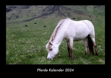 Tobias Becker: Pferde Kalender 2024 Fotokalender DIN A3, Kalender