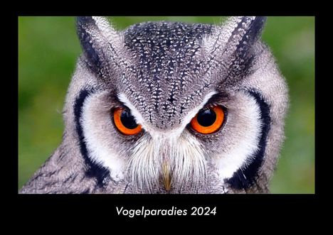 Tobias Becker: Vogelparadies 2024 Fotokalender DIN A3, Kalender