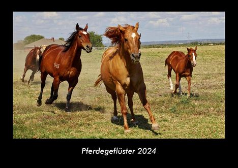 Tobias Becker: Pferdegeflüster 2024 Fotokalender DIN A3, Kalender