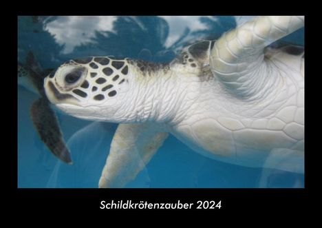 Tobias Becker: Schildkrötenzauber 2024 Fotokalender DIN A3, Kalender