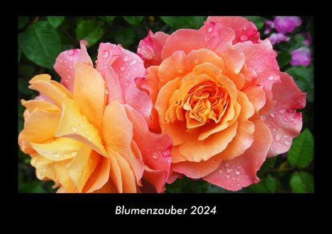 Tobias Becker: Blumenzauber 2024 Fotokalender DIN A3, Kalender
