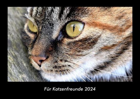 Tobias Becker: Für Katzenfreunde 2024 Fotokalender DIN A3, Kalender