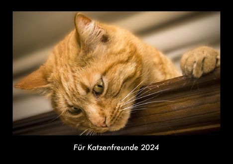 Tobias Becker: Für Katzenfreunde 2024 Fotokalender DIN A3, Kalender