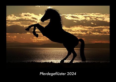 Tobias Becker: Pferdegeflüster 2024 Fotokalender DIN A3, Kalender