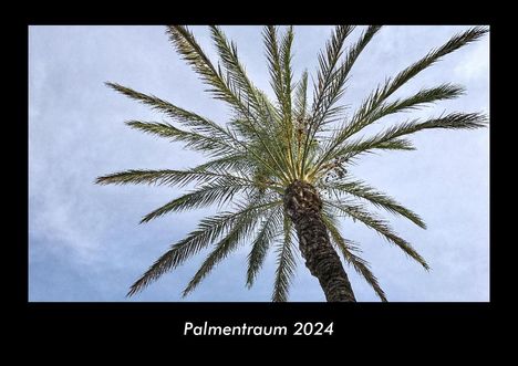 Tobias Becker: Palmentraum 2024 Fotokalender DIN A3, Kalender