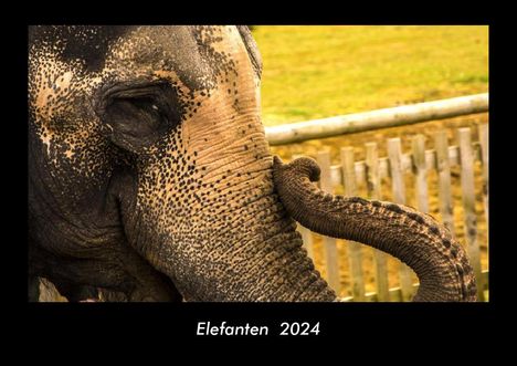 Tobias Becker: Elefanten 2024 Fotokalender DIN A3, Kalender