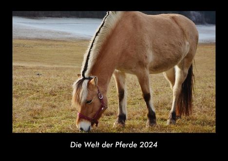 Tobias Becker: Die Welt der Pferde 2024 Fotokalender DIN A3, Kalender