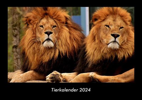 Tobias Becker: Tierkalender 2024 Fotokalender DIN A3, Kalender