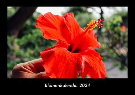 Tobias Becker: Blumenkalender 2024 Fotokalender DIN A3, Kalender