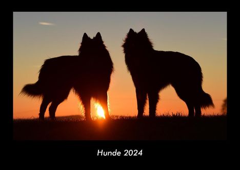 Tobias Becker: Hunde 2024 Fotokalender DIN A3, Kalender