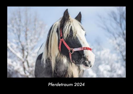 Tobias Becker: Pferdetraum 2024 Fotokalender DIN A3, Kalender