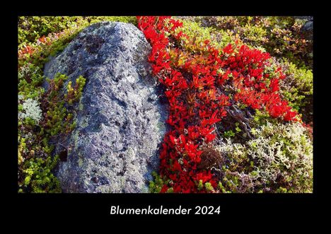 Tobias Becker: Blumenkalender 2024 Fotokalender DIN A3, Kalender