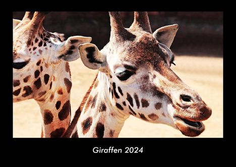 Tobias Becker: Giraffen 2024 Fotokalender DIN A3, Kalender