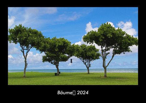 Tobias Becker: Bäume 2024 Fotokalender DIN A3, Kalender