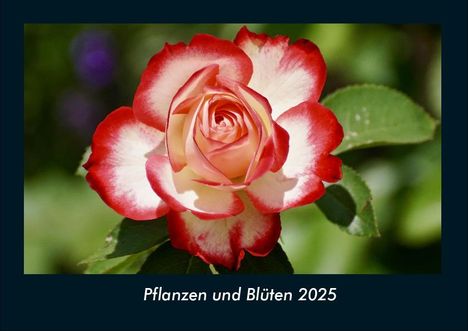 Tobias Becker: Pflanzen und Blüten 2025 Fotokalender DIN A4, Kalender