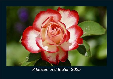 Tobias Becker: Pflanzen und Blüten 2025 Fotokalender DIN A5, Kalender