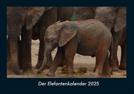 Tobias Becker: Der Elefantenkalender 2025 Fotokalender DIN A4, Kalender