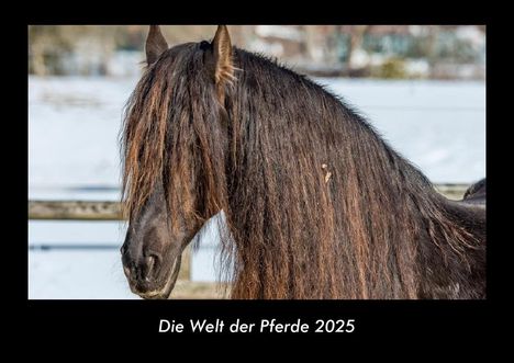 Tobias Becker: Die Welt der Pferde 2025 Fotokalender DIN A3, Kalender