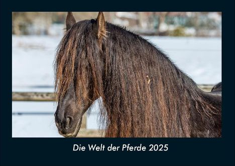 Tobias Becker: Die Welt der Pferde 2025 Fotokalender DIN A4, Kalender