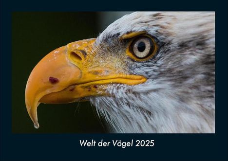 Tobias Becker: Welt der Vögel 2025 Fotokalender DIN A4, Kalender