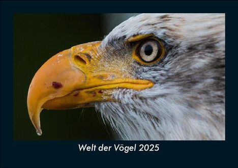 Tobias Becker: Welt der Vögel 2025 Fotokalender DIN A5, Kalender