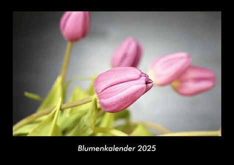 Tobias Becker: Blumenkalender 2025 Fotokalender DIN A3, Kalender