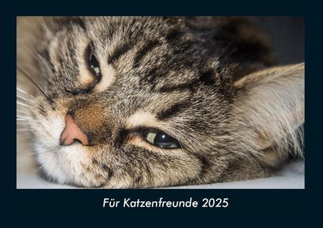 Tobias Becker: Für Katzenfreunde 2025 Fotokalender DIN A4, Kalender