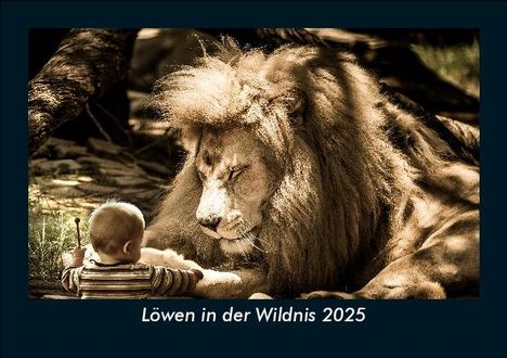 Tobias Becker: Löwen in der Wildnis 2025 Fotokalender DIN A5, Kalender