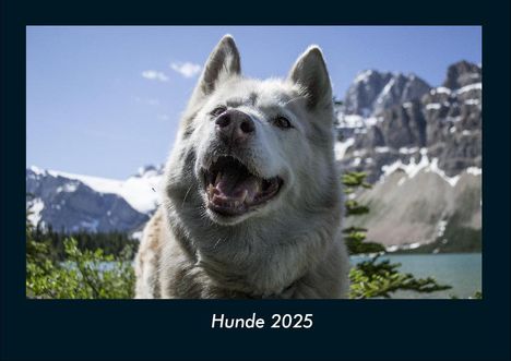 Tobias Becker: Hunde 2025 Fotokalender DIN A4, Kalender