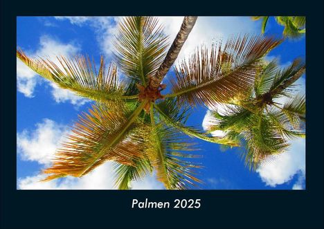 Tobias Becker: Palmen 2025 Fotokalender DIN A4, Kalender