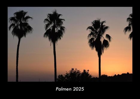 Tobias Becker: Palmen 2025 Fotokalender DIN A3, Kalender