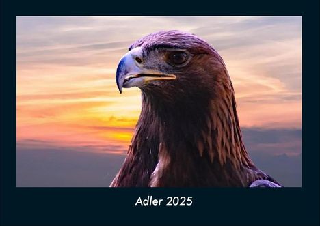 Tobias Becker: Adler 2025 Fotokalender DIN A4, Kalender