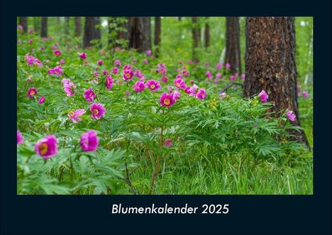 Tobias Becker: Blumenkalender 2025 Fotokalender DIN A4, Kalender