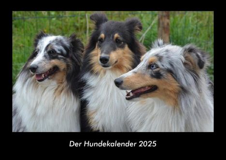 Tobias Becker: Der Hundekalender 2025 Fotokalender DIN A3, Kalender