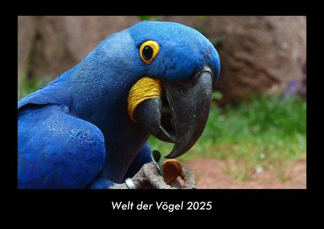 Tobias Becker: Welt der Vögel 2025 Fotokalender DIN A3, Kalender