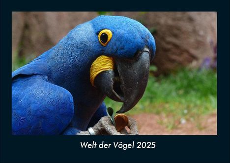 Tobias Becker: Welt der Vögel 2025 Fotokalender DIN A4, Kalender