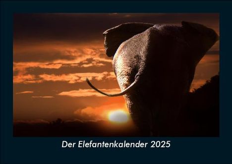 Tobias Becker: Der Elefantenkalender 2025 Fotokalender DIN A5, Kalender