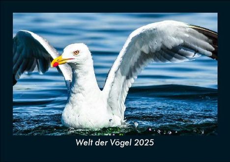 Tobias Becker: Welt der Vögel 2025 Fotokalender DIN A5, Kalender