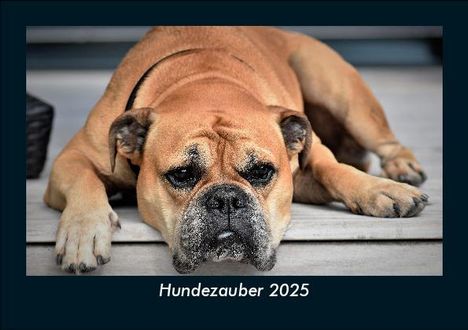 Tobias Becker: Hundezauber 2025 Fotokalender DIN A5, Kalender