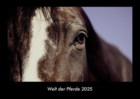 Tobias Becker: Welt der Pferde 2025 Fotokalender DIN A3, Kalender