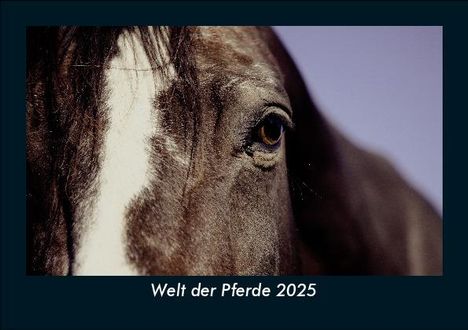 Tobias Becker: Welt der Pferde 2025 Fotokalender DIN A5, Kalender