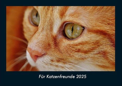 Tobias Becker: Für Katzenfreunde 2025 Fotokalender DIN A4, Kalender