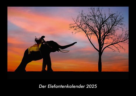 Tobias Becker: Der Elefantenkalender 2025 Fotokalender DIN A3, Kalender