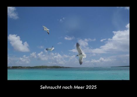 Tobias Becker: Sehnsucht nach Meer 2025 Fotokalender DIN A3, Kalender