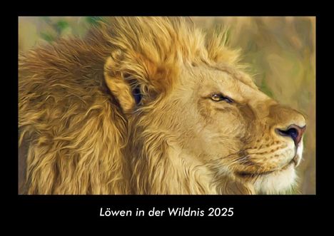 Tobias Becker: Löwen in der Wildnis 2025 Fotokalender DIN A3, Kalender