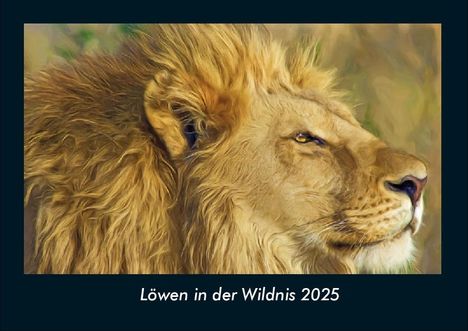 Tobias Becker: Löwen in der Wildnis 2025 Fotokalender DIN A4, Kalender