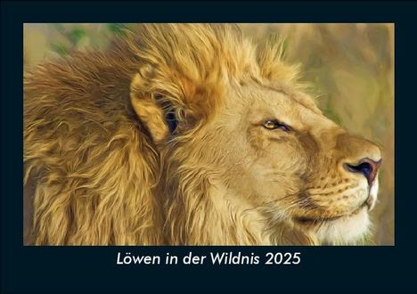 Tobias Becker: Löwen in der Wildnis 2025 Fotokalender DIN A5, Kalender