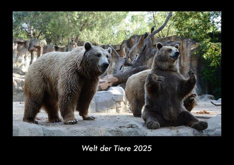 Tobias Becker: Welt der Tiere 2025 Fotokalender DIN A3, Kalender