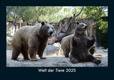 Tobias Becker: Welt der Tiere 2025 Fotokalender DIN A5, Kalender